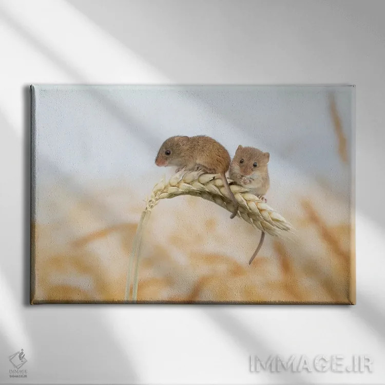 تابلو دوتایی بودن بهتر است اثر باور میسون - نمای روبهرو روی دیوار