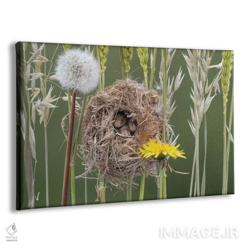 تابلو سه موش نه چندان کور اثر باور میسون - نمای پرسپکتیو محصول