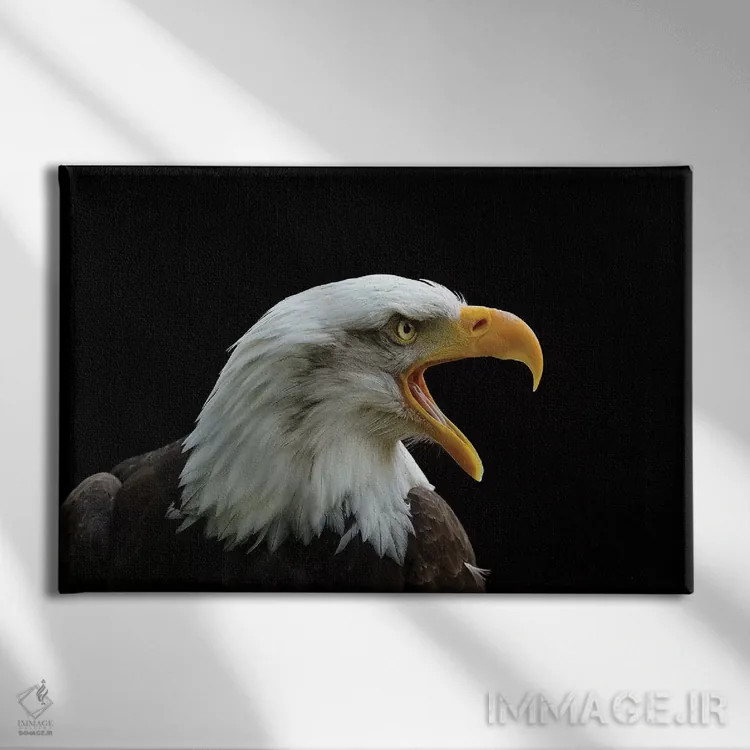 تابلو آن که نیرومند است اثر باور میسون - نمای روبهرو روی دیوار