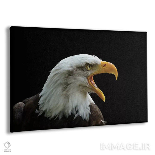 تابلو آن که نیرومند است اثر باور میسون - نمای پرسپکتیو محصول