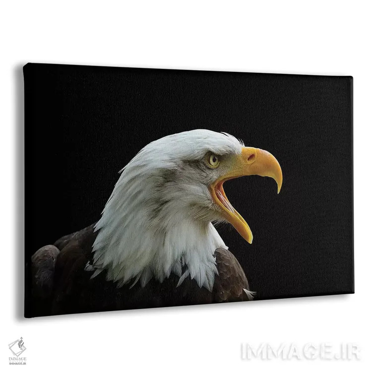 تابلو آن که نیرومند است اثر باور میسون - نمای پرسپکتیو محصول