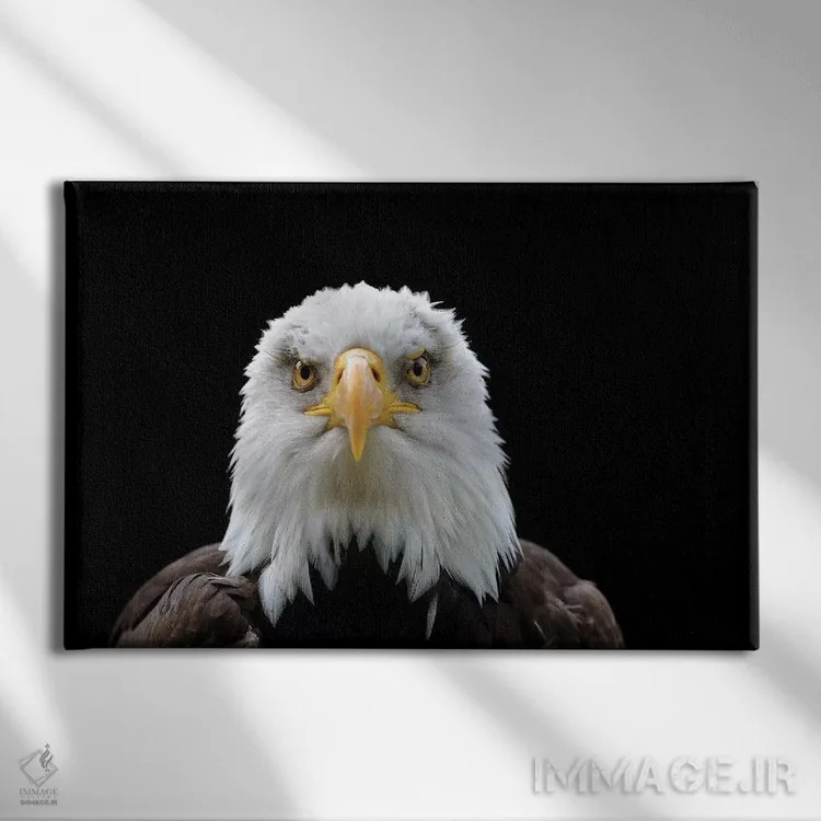 تابلو خیره شدن اثر باور میسون - نمای روبهرو روی دیوار