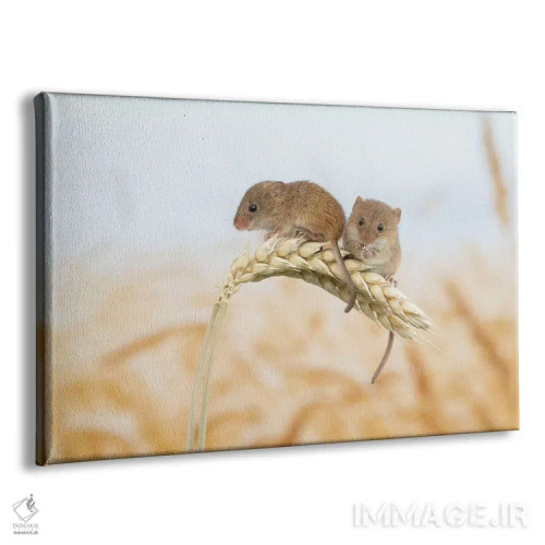 تابلو دوتایی بودن بهتر است اثر باور میسون - نمای پرسپکتیو محصول