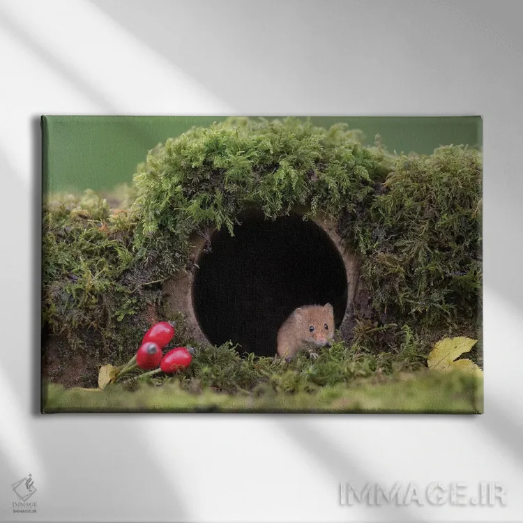 تابلو لولهٔ قدیمی اثر باور میسون - نمای روبهرو روی دیوار