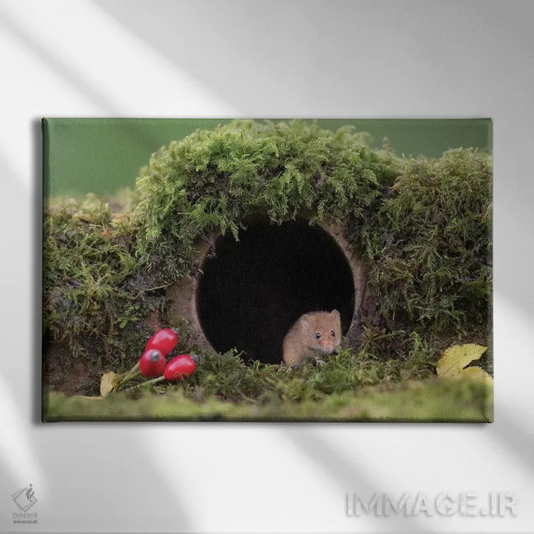 تابلو لولهٔ قدیمی اثر باور میسون - نمای روبهرو روی دیوار