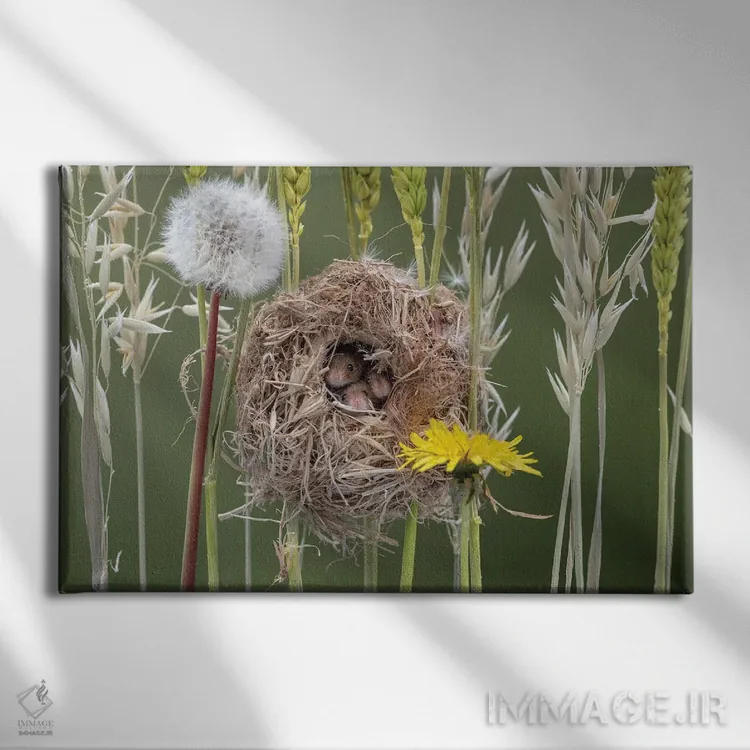 تابلو سه موش نه چندان کور اثر باور میسون - نمای روبهرو روی دیوار