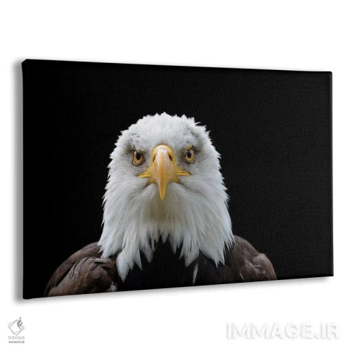 تابلو خیره شدن اثر باور میسون - نمای پرسپکتیو محصول