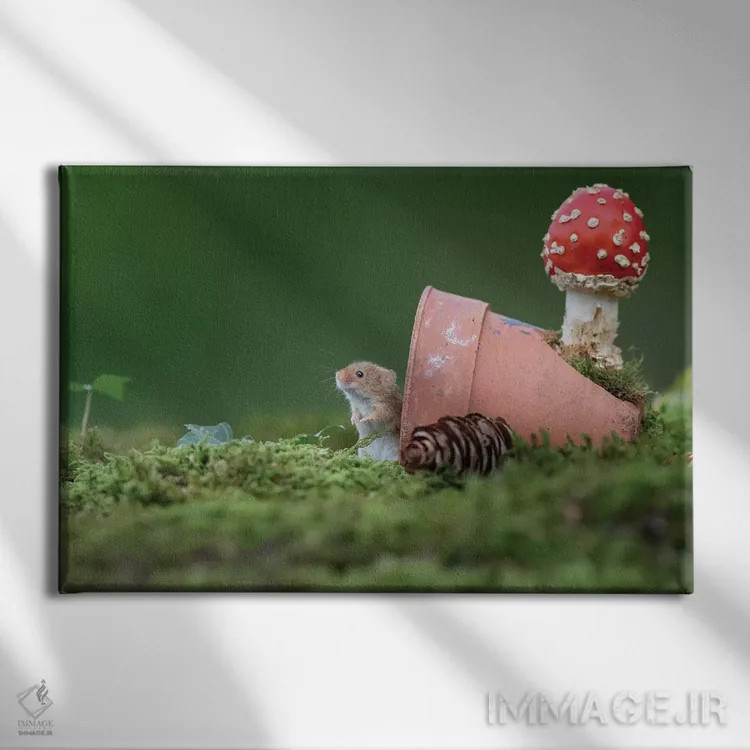 تابلو منتظر مهمانها اثر باور میسون - نمای روبهرو روی دیوار