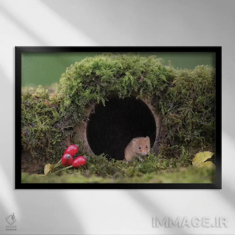 تابلو لولهٔ قدیمی اثر باور میسون - نمای قابدار مشکی