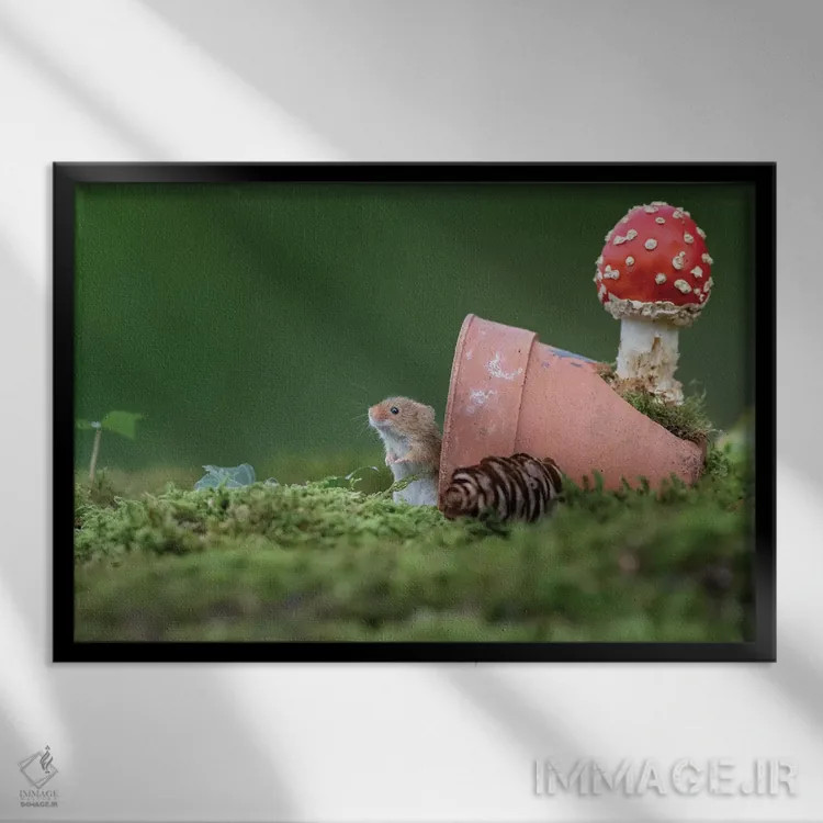 تابلو منتظر مهمانها اثر باور میسون - نمای قابدار مشکی