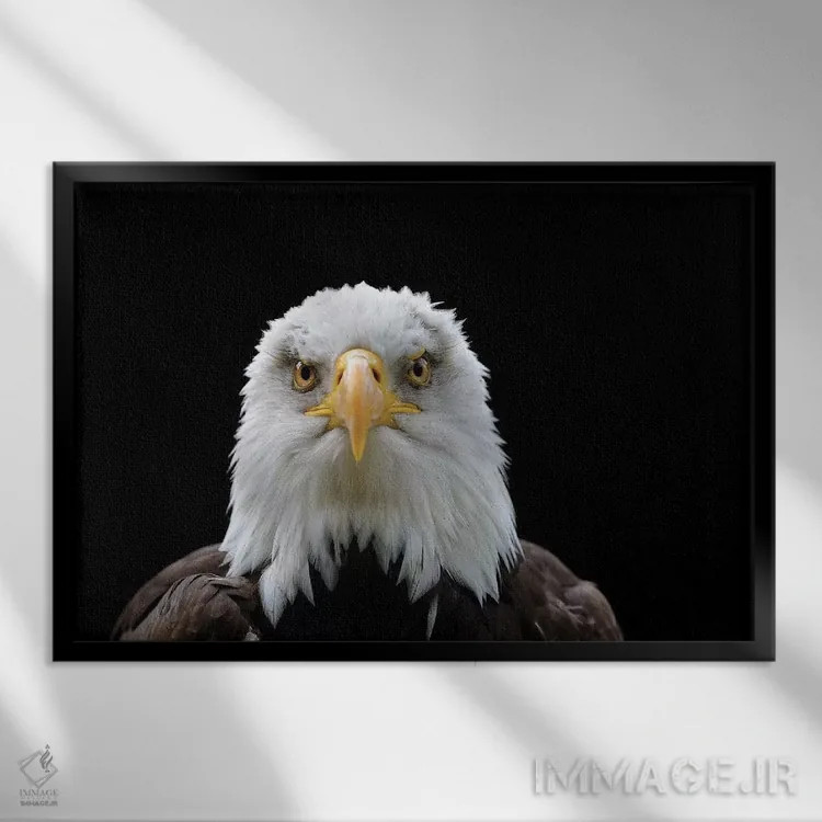 تابلو خیره شدن اثر باور میسون - نمای قابدار مشکی