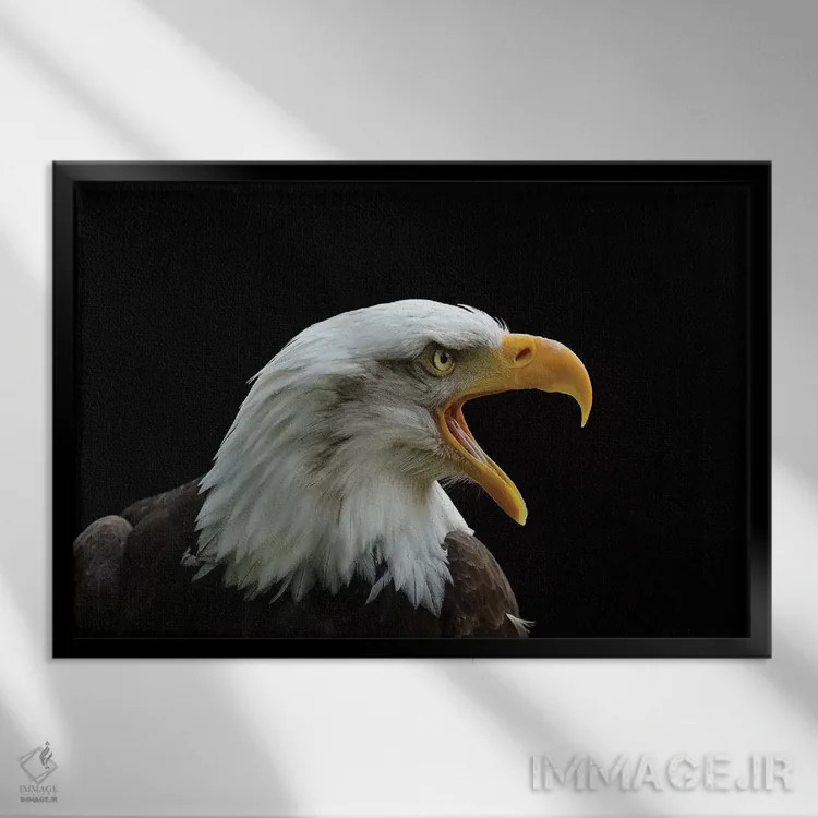 تابلو آن که نیرومند است اثر باور میسون - نمای قابدار مشکی