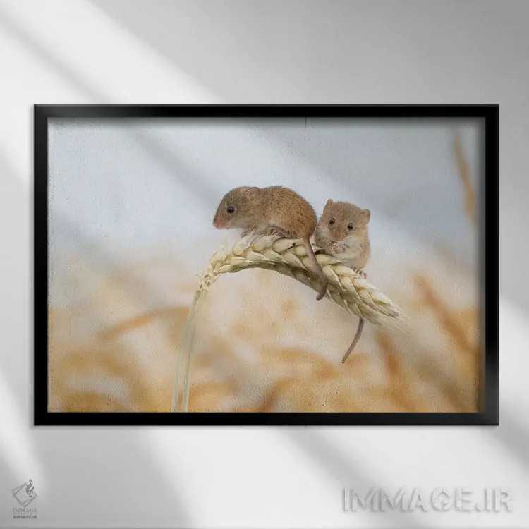 تابلو دوتایی بودن بهتر است اثر باور میسون - نمای قابدار مشکی