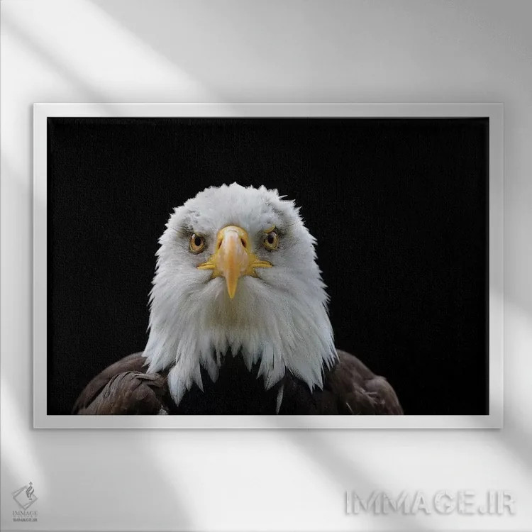 تابلو خیره شدن اثر باور میسون - نمای قابدار سفید