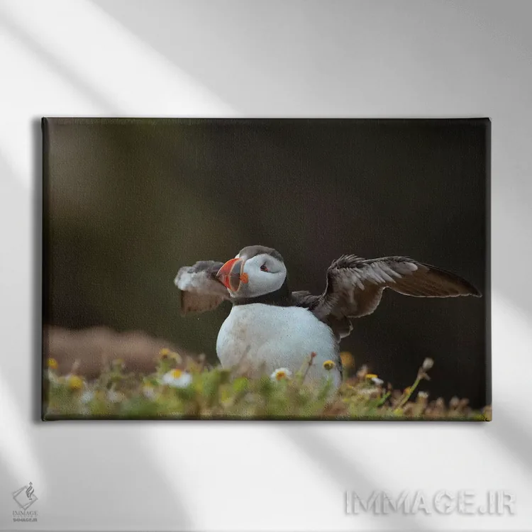 تابلو زدودن تارهای عنکبوت (تمیز کردن پس از مدتزمان طولانی) اثر باور میسون - نمای روبهرو روی دیوار