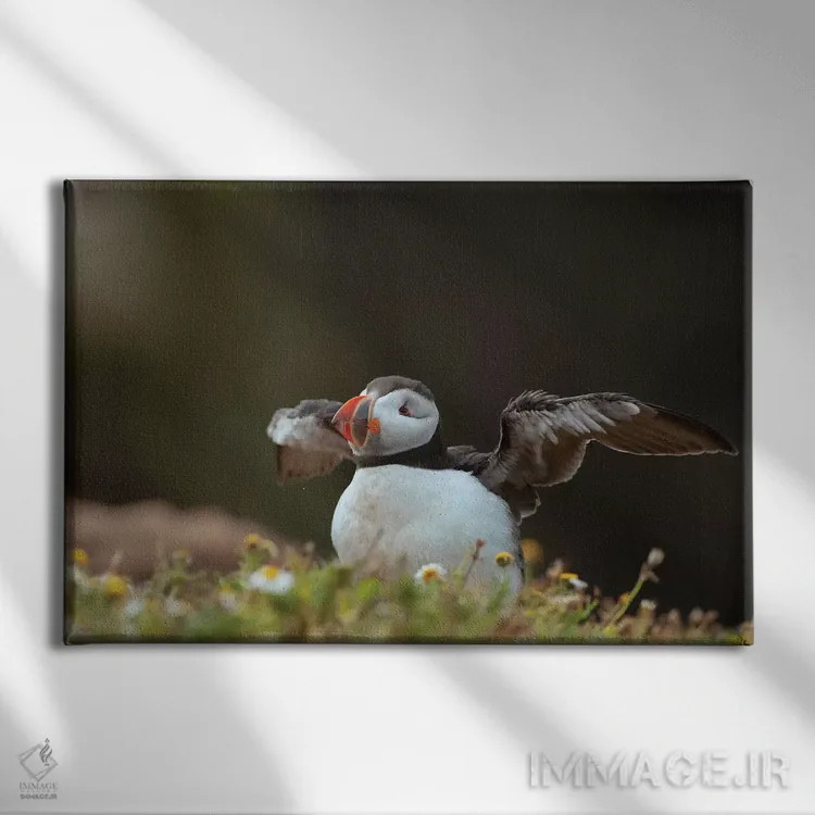 تابلو زدودن تارهای عنکبوت (تمیز کردن پس از مدتزمان طولانی) اثر باور میسون - نمای روبهرو روی دیوار