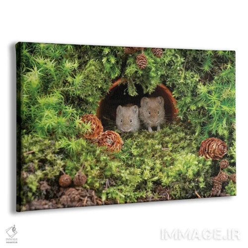 تابلو چه کسی ما را بیدار کرد اثر باور میسون - نمای پرسپکتیو محصول