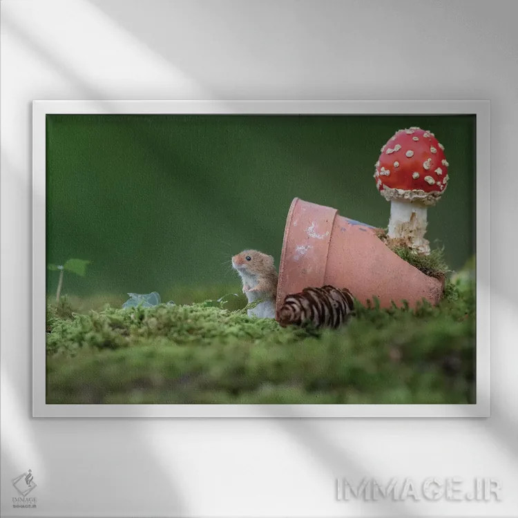 تابلو منتظر مهمانها اثر باور میسون - نمای قابدار سفید