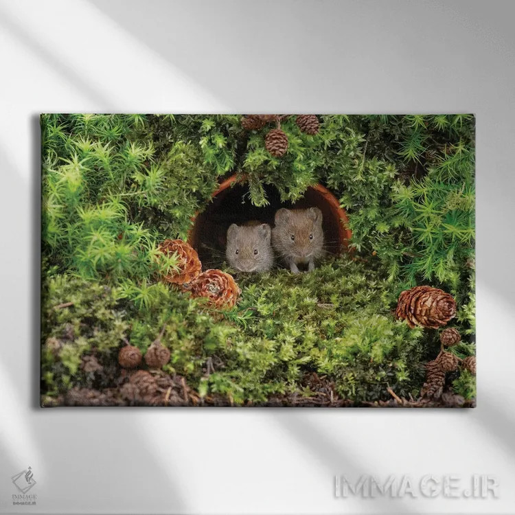 تابلو چه کسی ما را بیدار کرد اثر باور میسون - نمای روبهرو روی دیوار