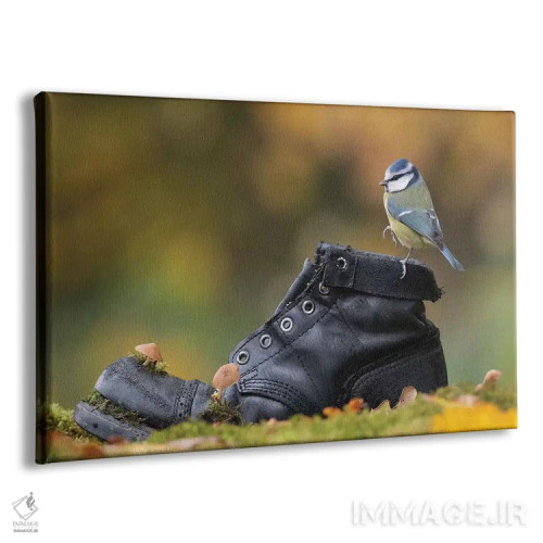 تابلو مرغ آبی روی چکمهٔ قدیمی اثر باور میسون - نمای پرسپکتیو محصول