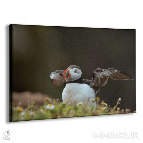 تابلو زدودن تارهای عنکبوت (تمیز کردن پس از مدتزمان طولانی) اثر باور میسون - نمای پرسپکتیو محصول