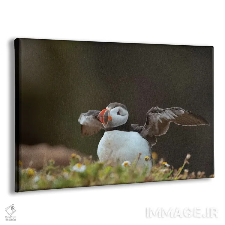 تابلو زدودن تارهای عنکبوت (تمیز کردن پس از مدتزمان طولانی) اثر باور میسون - نمای پرسپکتیو محصول