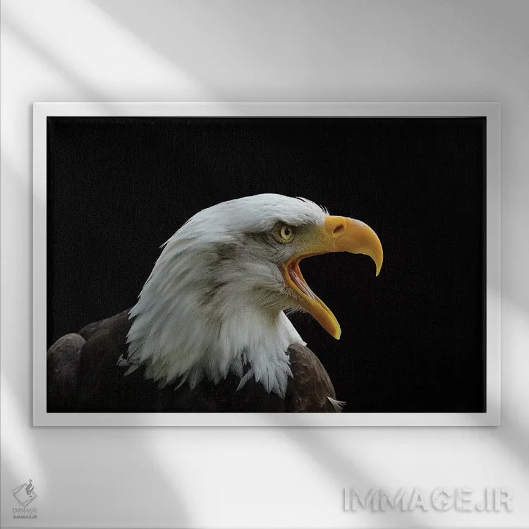 تابلو آن که نیرومند است اثر باور میسون - نمای قابدار سفید