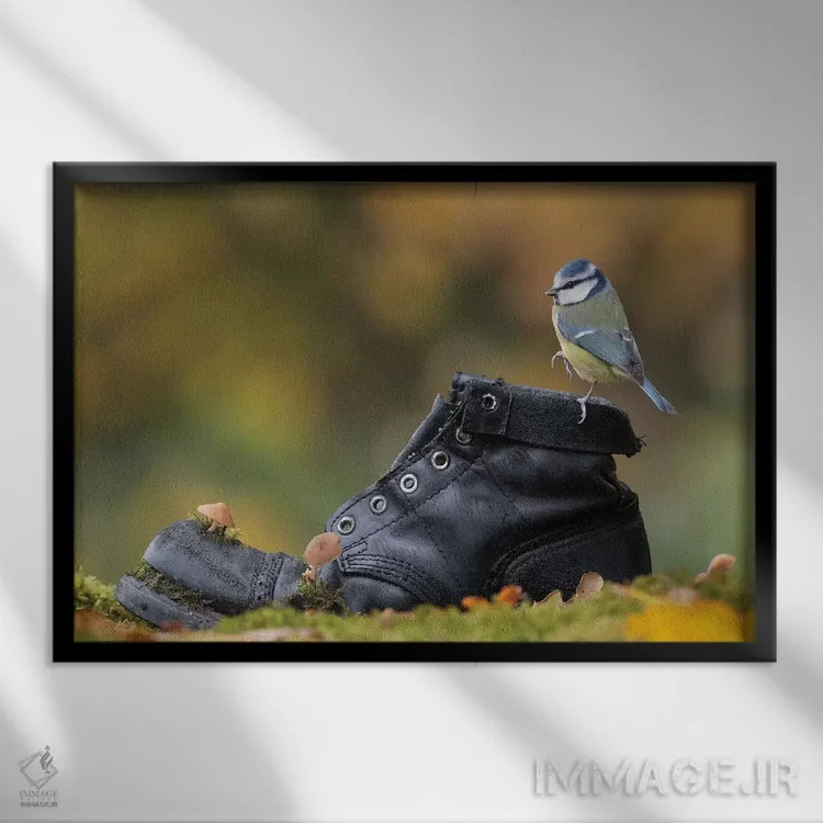 تابلو مرغ آبی روی چکمهٔ قدیمی اثر باور میسون - نمای قابدار مشکی