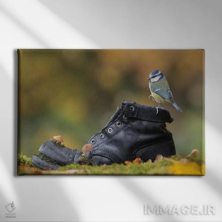 تابلو مرغ آبی روی چکمهٔ قدیمی اثر باور میسون - نمای روبهرو روی دیوار