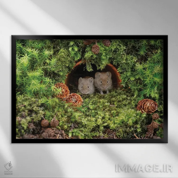 تابلو چه کسی ما را بیدار کرد اثر باور میسون - نمای قابدار مشکی