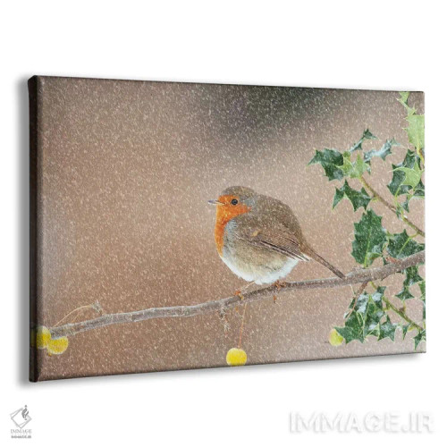 تابلو در دل طوفان ایستادگی کردن ۲ اثر باور میسون - نمای پرسپکتیو محصول