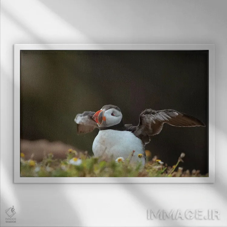 تابلو زدودن تارهای عنکبوت (تمیز کردن پس از مدتزمان طولانی) اثر باور میسون - نمای قابدار سفید