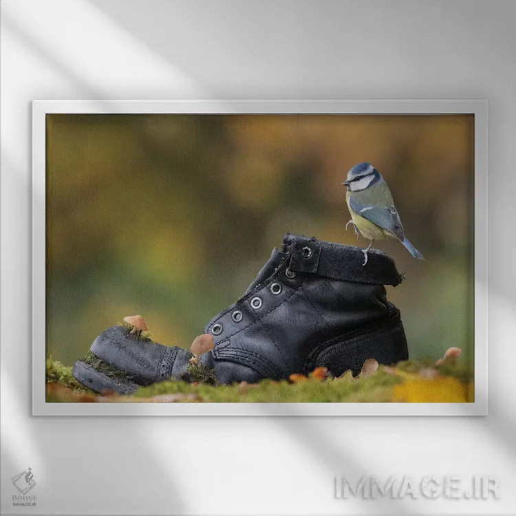 تابلو مرغ آبی روی چکمهٔ قدیمی اثر باور میسون - نمای قابدار سفید