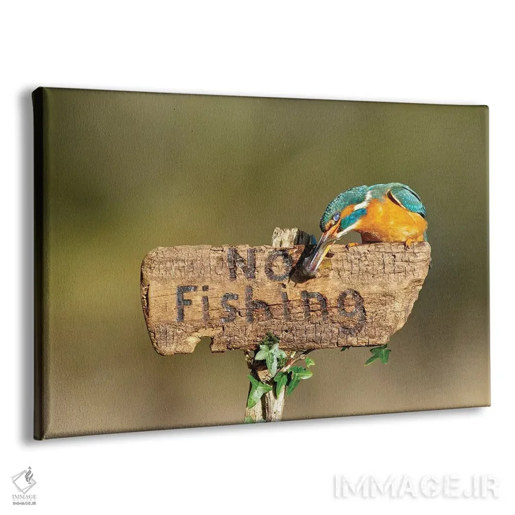 تابلو شکستن قوانین اثر باور میسون - نمای پرسپکتیو محصول