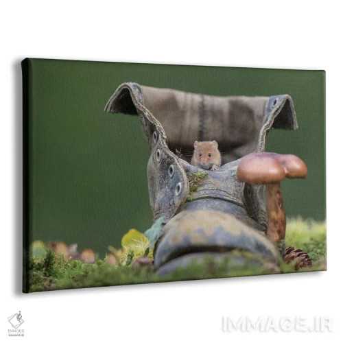 تابلو نفس هوای تازه اثر باور میسون - نمای پرسپکتیو محصول