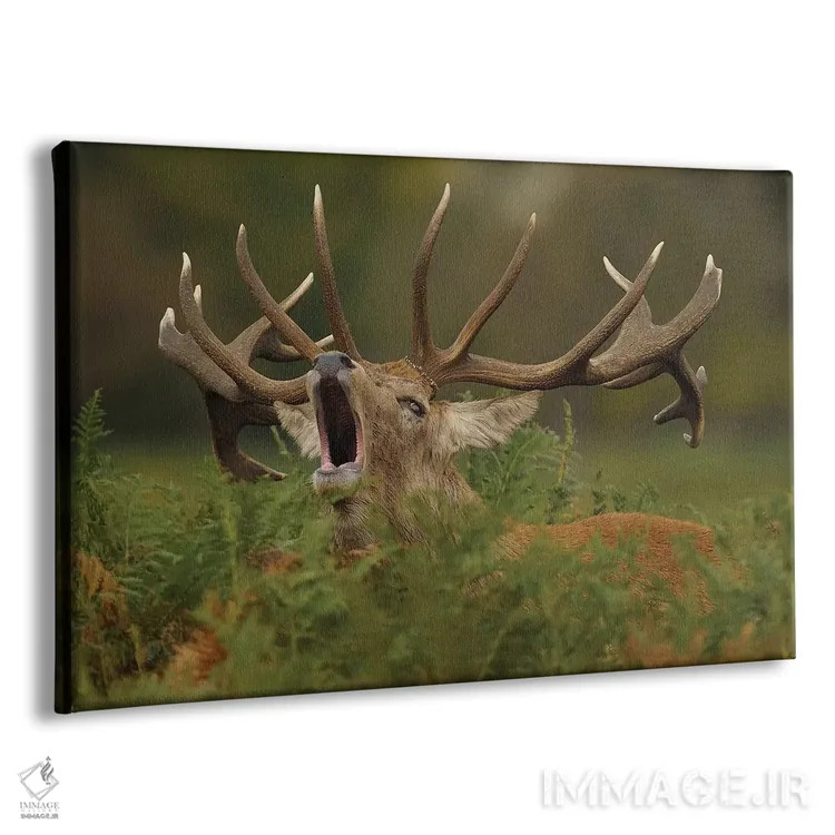 تابلو ندای طبیعت وحشی اثر باور میسون - نمای پرسپکتیو محصول