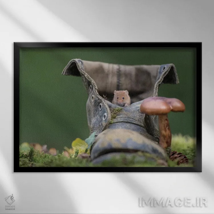 تابلو نفس هوای تازه اثر باور میسون - نمای قابدار مشکی