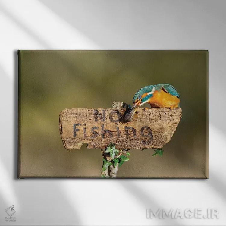 تابلو شکستن قوانین اثر باور میسون - نمای روبهرو روی دیوار