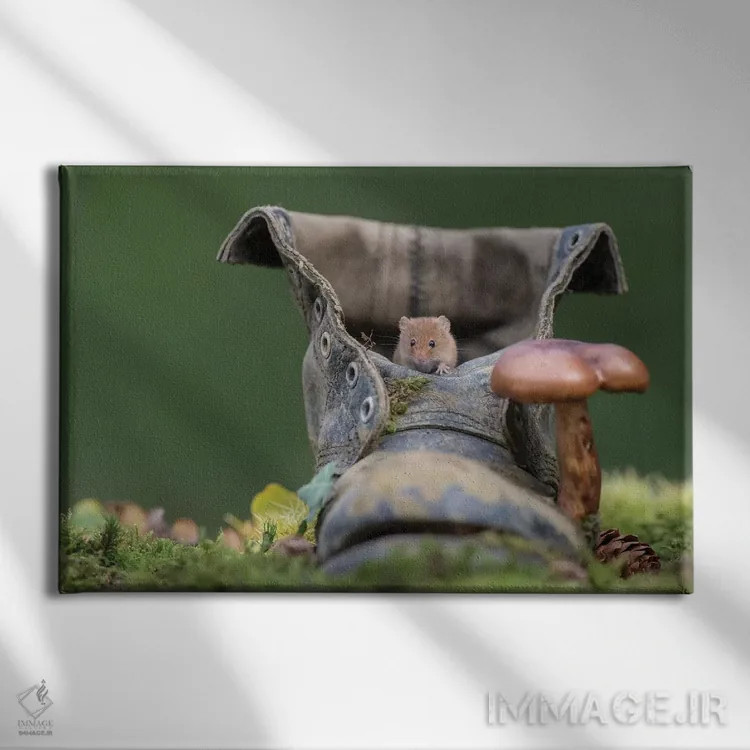 تابلو نفس هوای تازه اثر باور میسون - نمای روبهرو روی دیوار