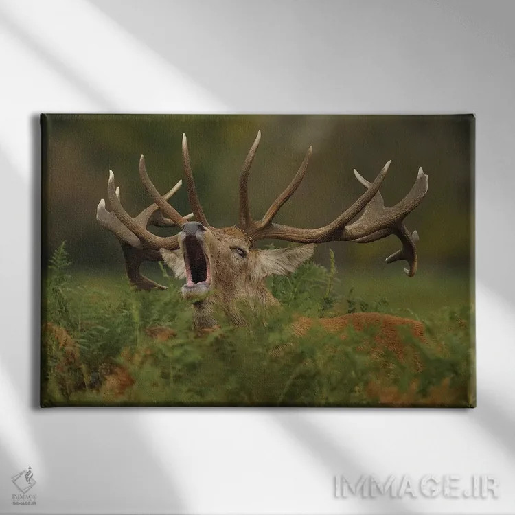 تابلو ندای طبیعت وحشی اثر باور میسون - نمای روبهرو روی دیوار