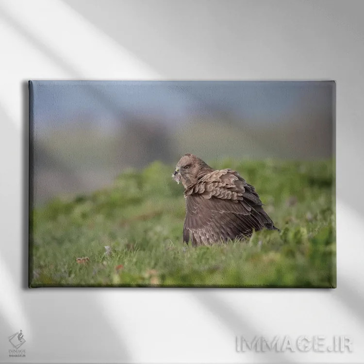 تابلو تنها غذا خوردن اثر باور میسون - نمای روبهرو روی دیوار