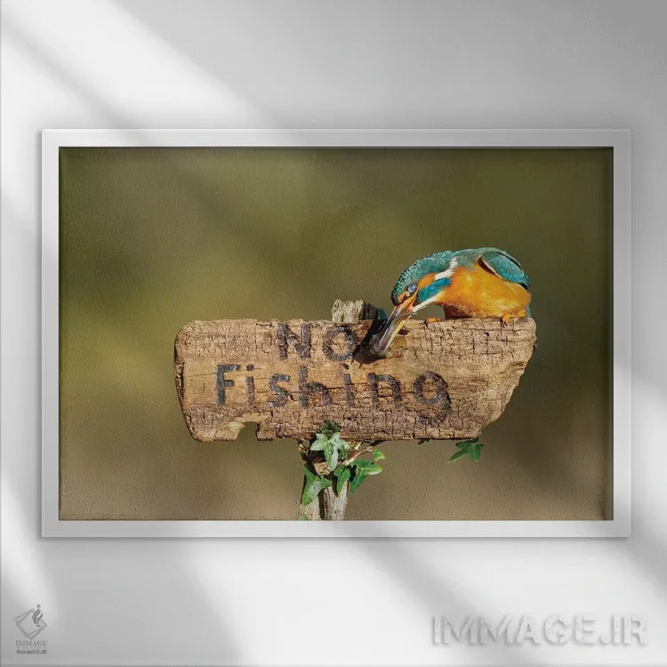 تابلو شکستن قوانین اثر باور میسون - نمای قابدار سفید