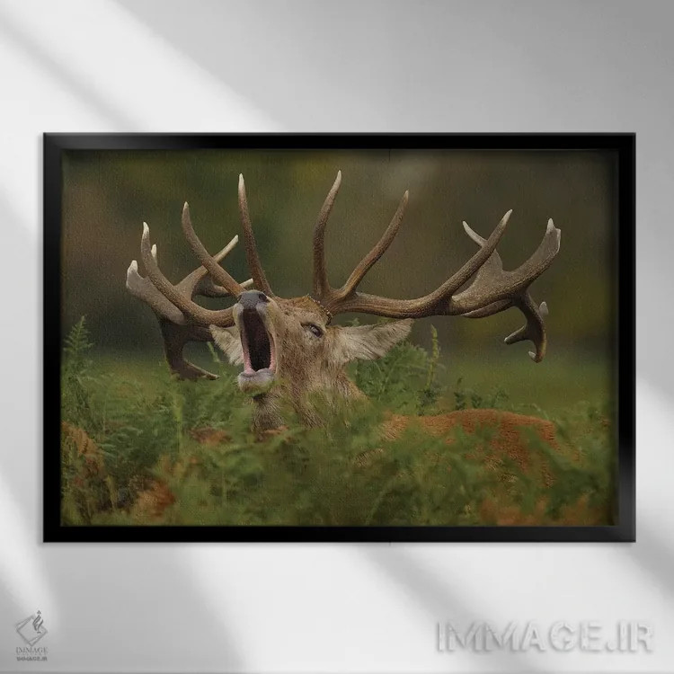 تابلو ندای طبیعت وحشی اثر باور میسون - نمای قابدار مشکی