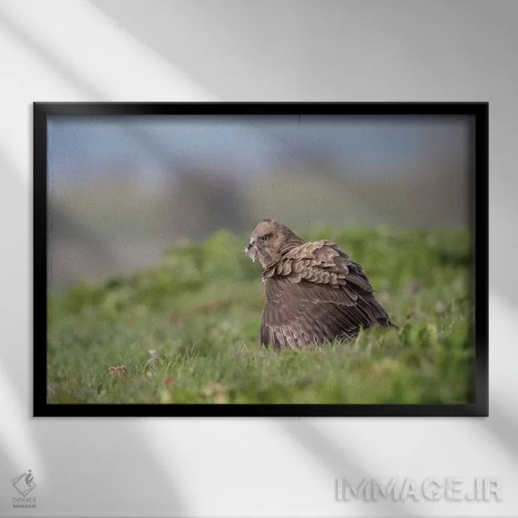 تابلو تنها غذا خوردن اثر باور میسون - نمای قابدار مشکی