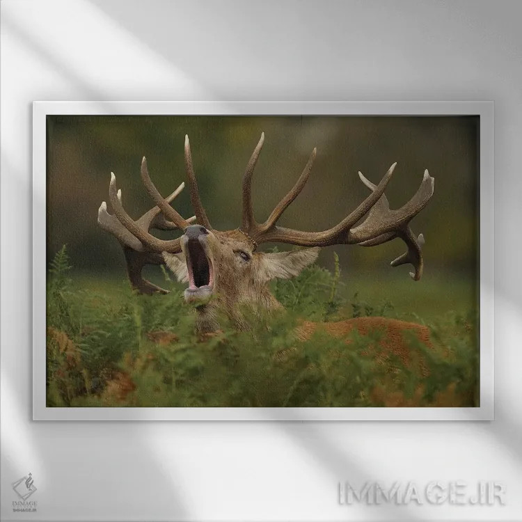 تابلو ندای طبیعت وحشی اثر باور میسون - نمای قابدار سفید