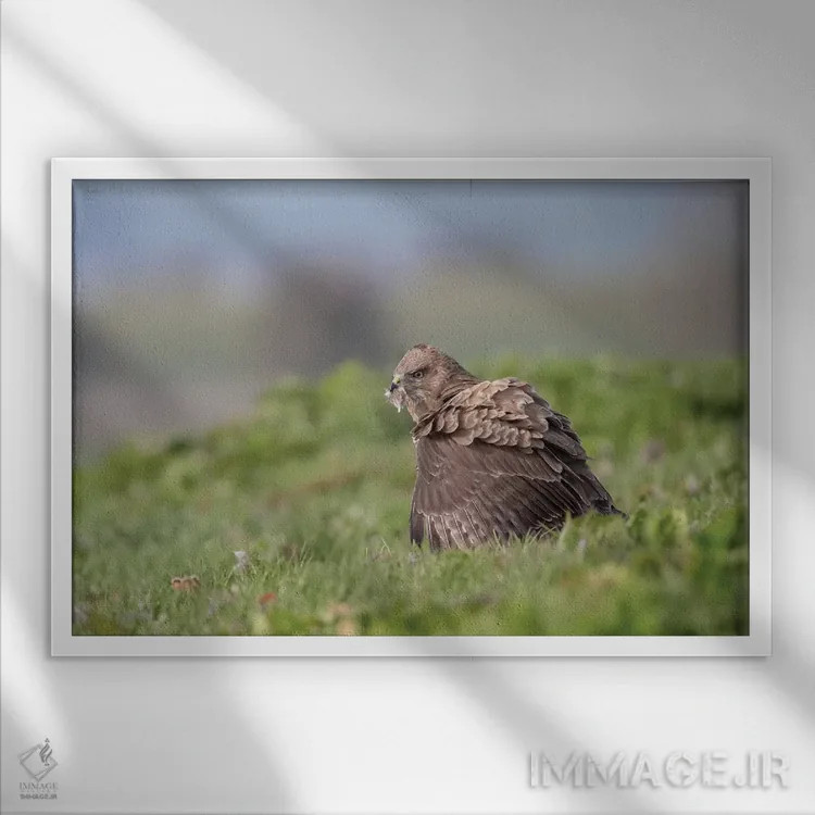 تابلو تنها غذا خوردن اثر باور میسون - نمای قابدار سفید