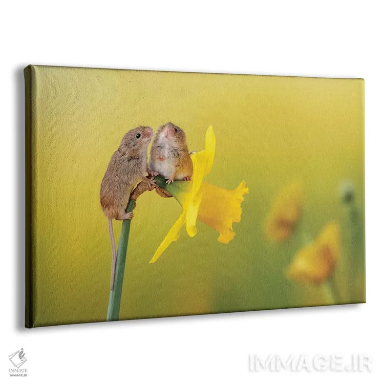 تابلو در میان گلهای نرگس اثر باور میسون - نمای پرسپکتیو محصول