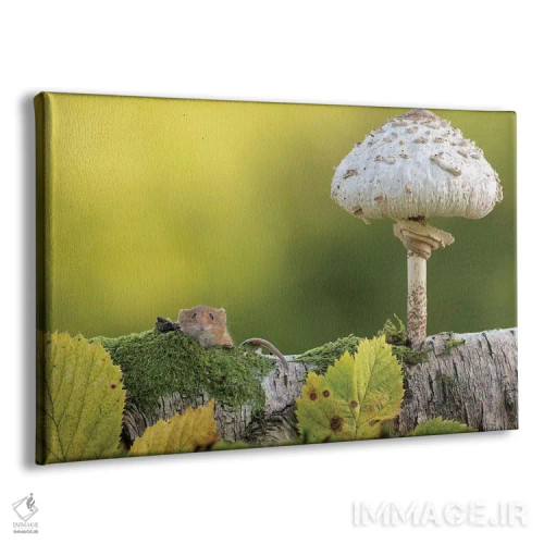 تابلو سلام پاییز اثر باور میسون - نمای پرسپکتیو محصول