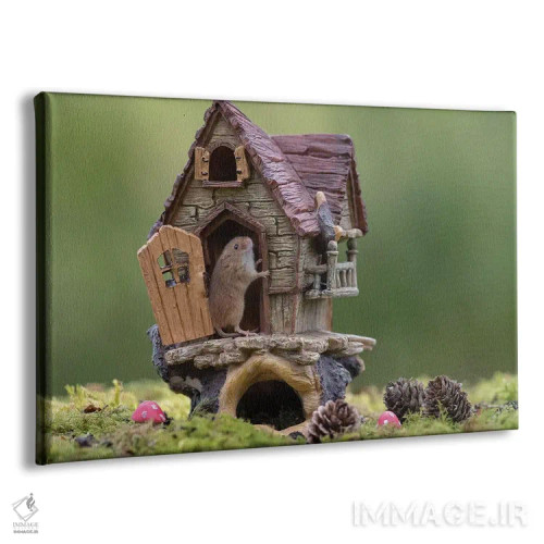 تابلو موش مغرور به خانهاش اثر باور میسون - نمای پرسپکتیو محصول