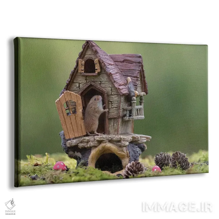 تابلو موش مغرور به خانهاش اثر باور میسون - نمای پرسپکتیو محصول